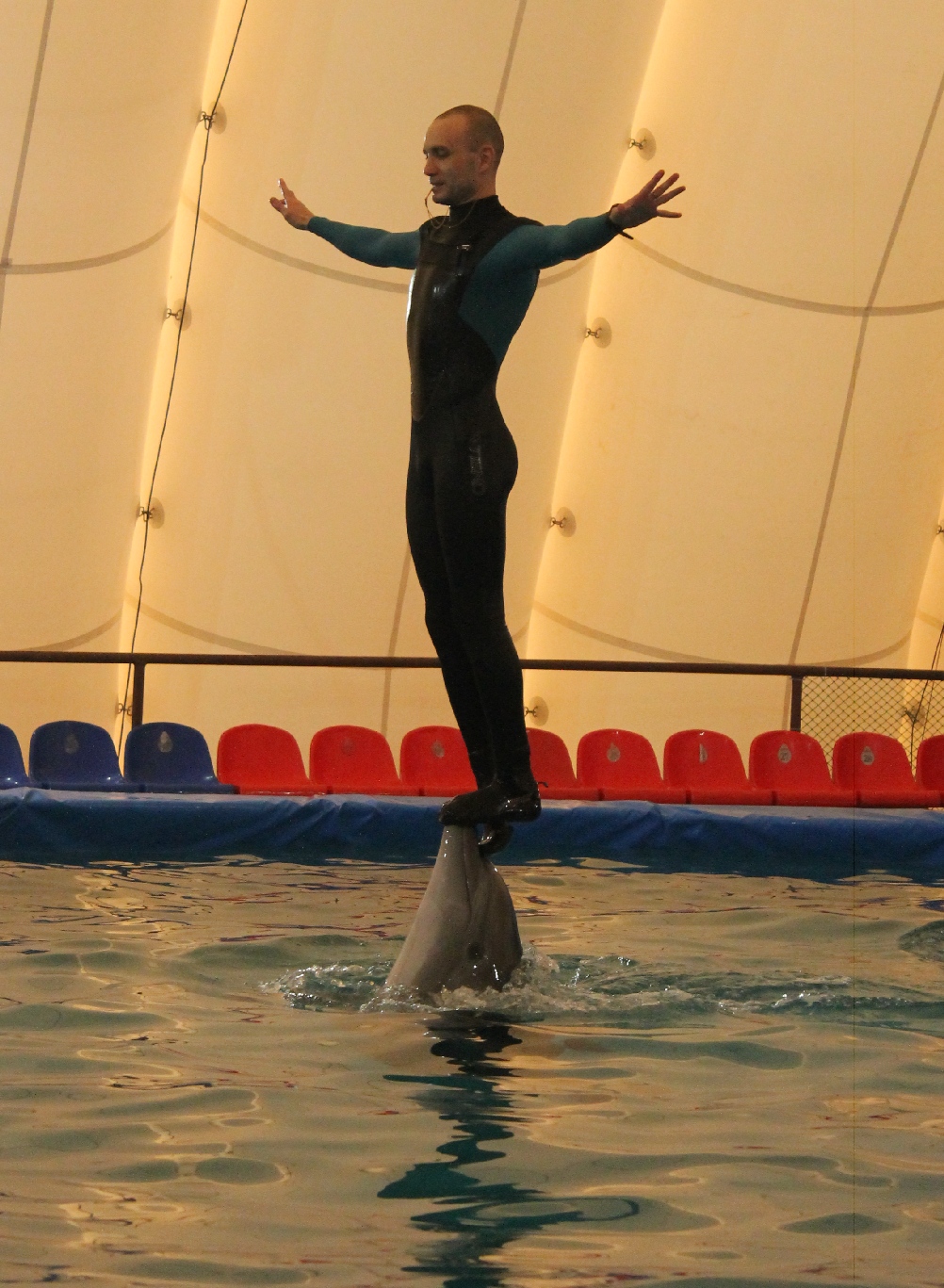 Дельфинарий Екатеринбург